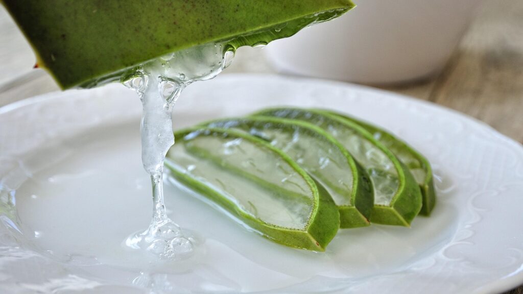 Forever Aloe Vera Gel - Frisches Aloe Vera Blatt mit Gel