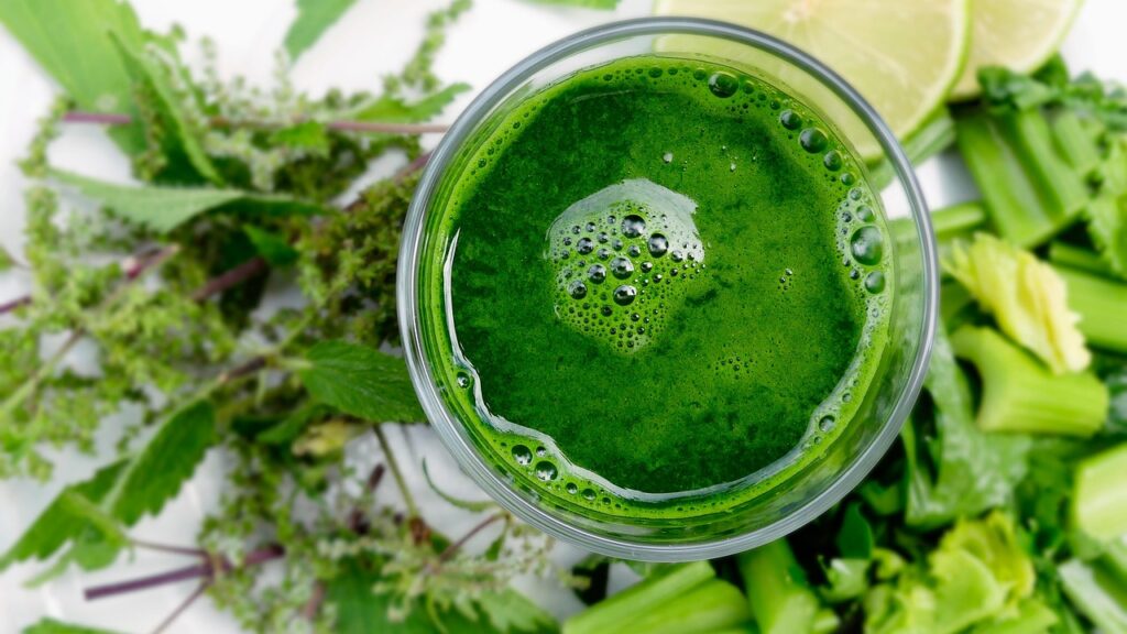 Detox Smoothie - Forever C9 Programm Erfahrung