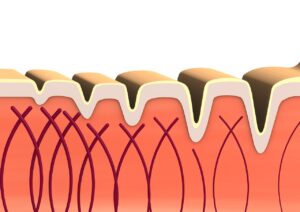 Marine Collagen Hautpflege - Forever Marine Collagen Erfahrung